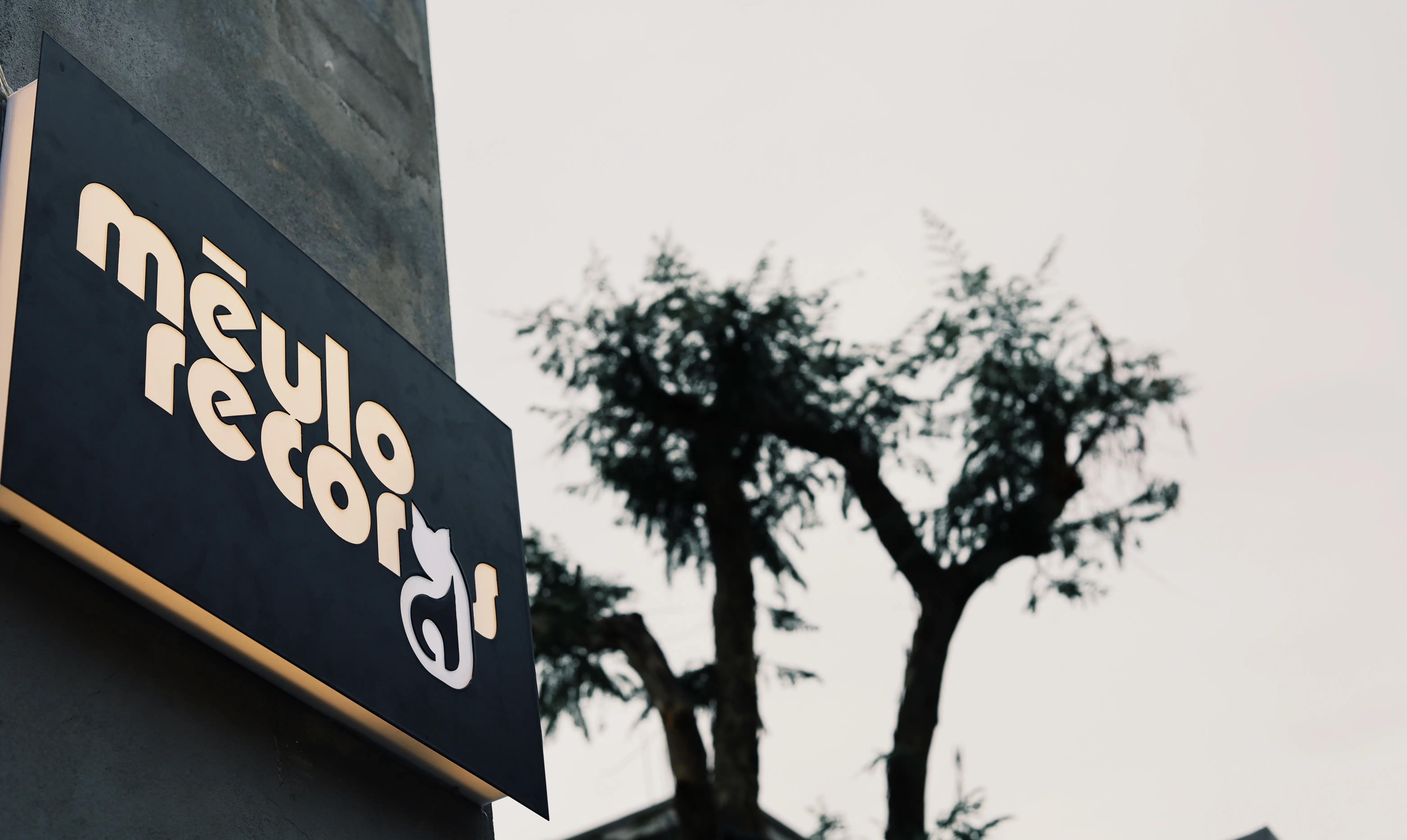 Hero Image of Méulo Records